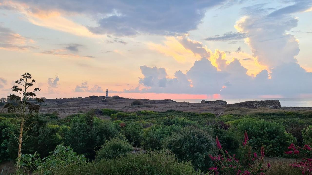 Paphos Phaedrus Living: Seaview Luxury Villa Venus מראה חיצוני תמונה