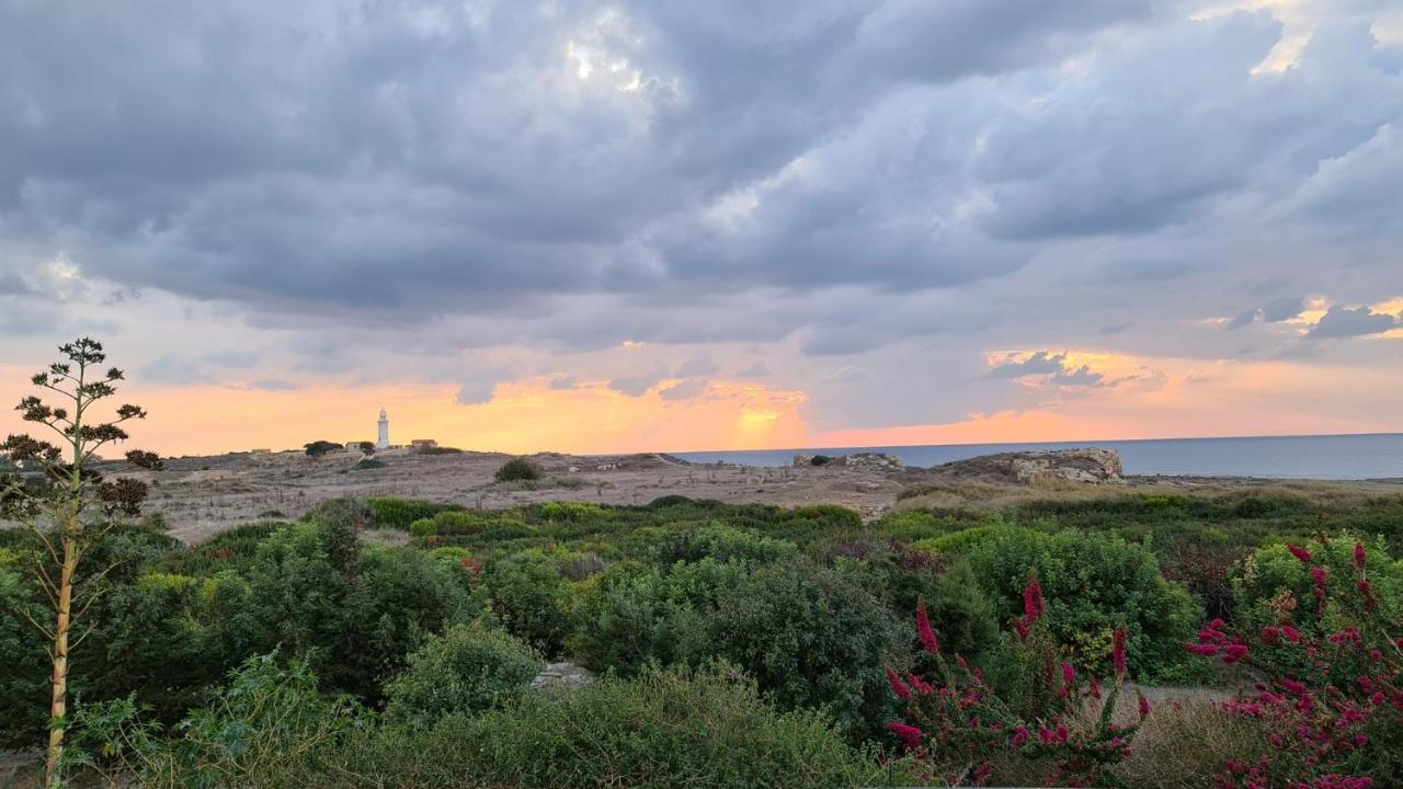 Paphos Phaedrus Living: Seaview Luxury Villa Venus מראה חיצוני תמונה